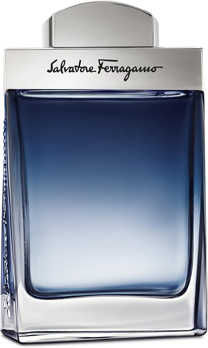 Ferragamo Subtil Pour Homme EDT 100 ml